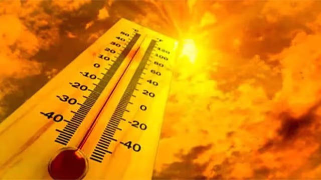 Meteorology Department Issues Heat Advisory for Multiple Districts