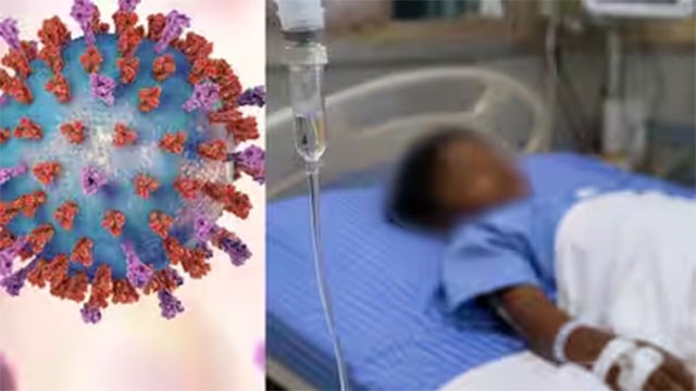 Gujarat reports 22 deaths from Chandipura virus outbreak among children