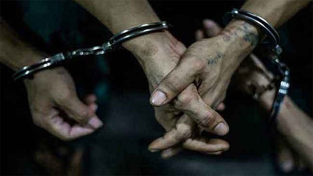 Authorities arrest 36 in crackdown on illegal fishing across island