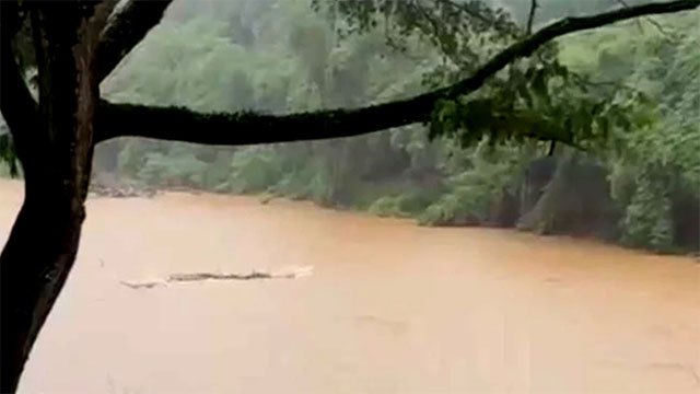 Irrigation Department Issues Minor Flood Alert for Mahaweli River Basin