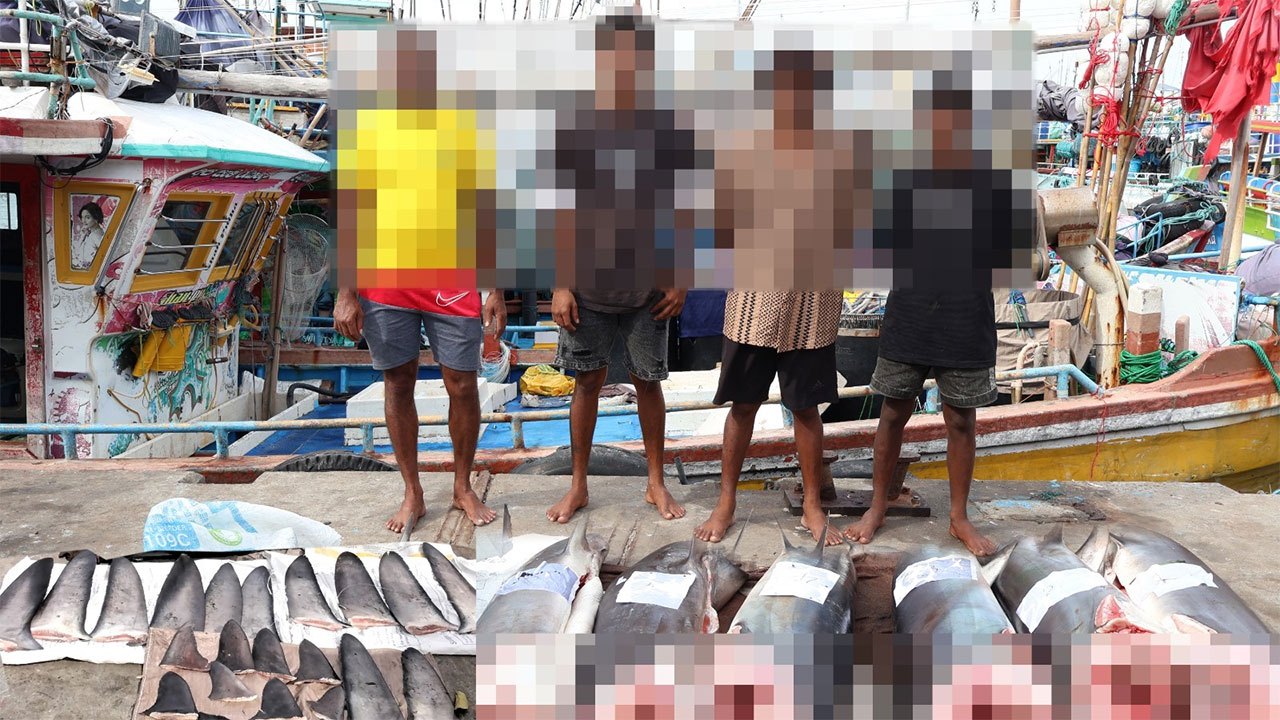 Four fishermen arrested for illegal shark trafficking at Suduwella harbour