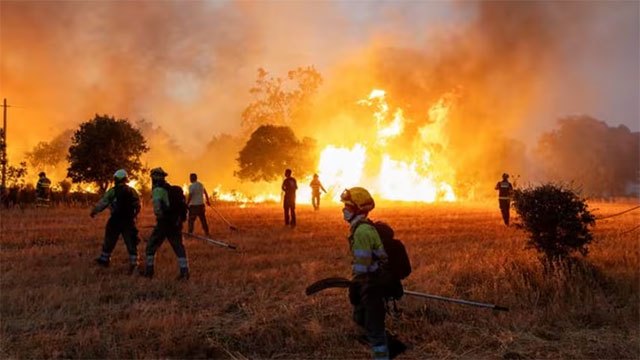 Western Europe Records Hottest June-July Period as Climate Change Intensifies Heat and Drought