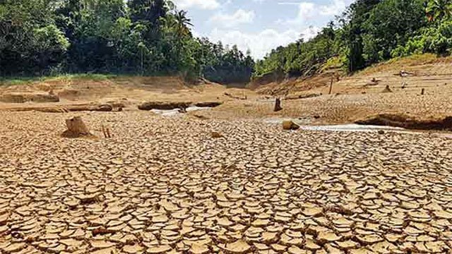Drought conditions devastate farming across multiple provinces