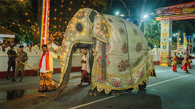Traffic Restrictions Set for Bellanwila Esala Perahera Festival
