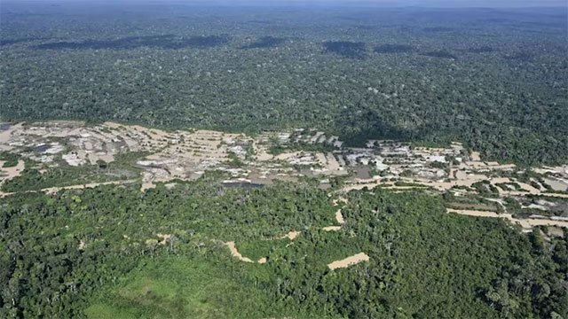 Brazil's Vegetation Loss Amplifies Vulnerability to El Niño Impacts
