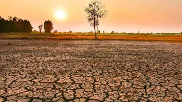 Over 68,000 Sri Lankans Affected by Ongoing Drought Conditions