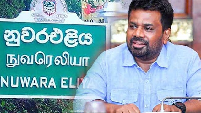 Audit Committee to Investigate Financial Irregularities at Nuwara Eliya Divisional Secretariats