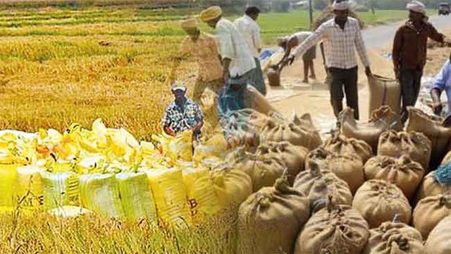 Government Launches Paddy Purchase Scheme for 2026 Yala Season Through Small Rice Mills
