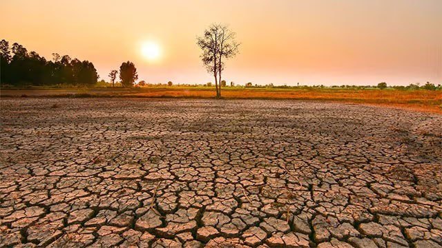 Government Issues Directive to Strengthen Water Supply During El Niño Droughts