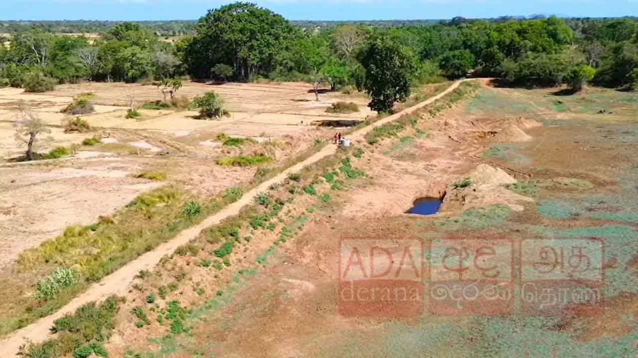 Drought conditions worsen across seven Sri Lankan districts, affecting over 81,000 residents