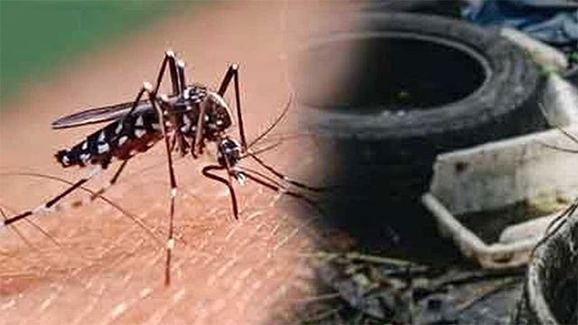 Health Ministry launches community-based dengue control pilot project in Colombo