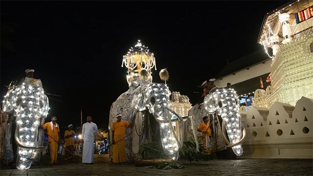 Sri Lanka to Issue Gazette Notification on Captive Elephants for Cultural Festivals