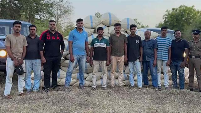 Large-scale Cannabis Operation Dismantled in Monaragala