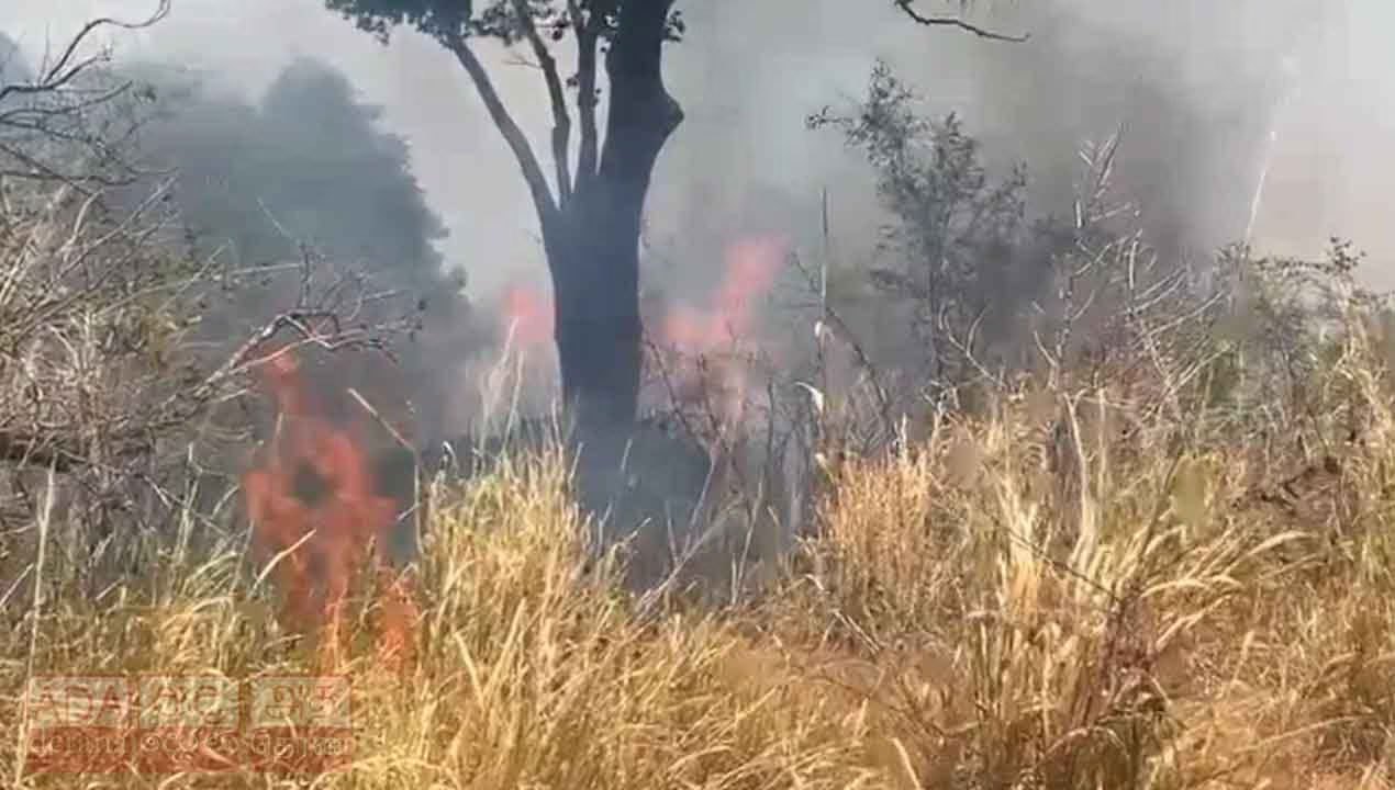 Over 100 acres destroyed in forest fire at Habarana nature reserve