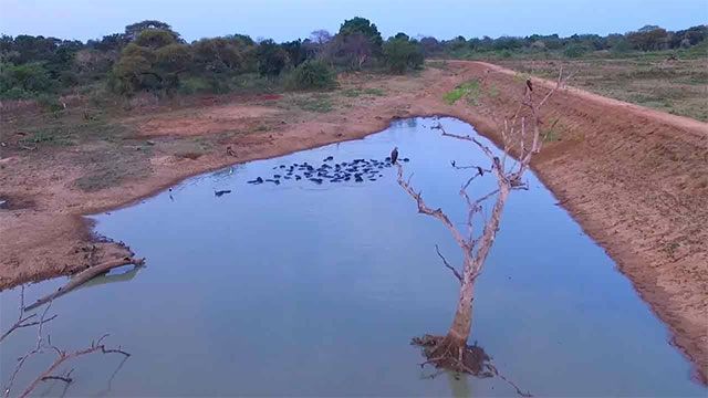 Sri Lanka's Reservoir Capacity Falls to 36% as Dry Conditions Intensify