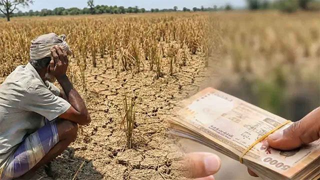 Drought Damages Extensive Farmland, Affecting Thousands of Farmers