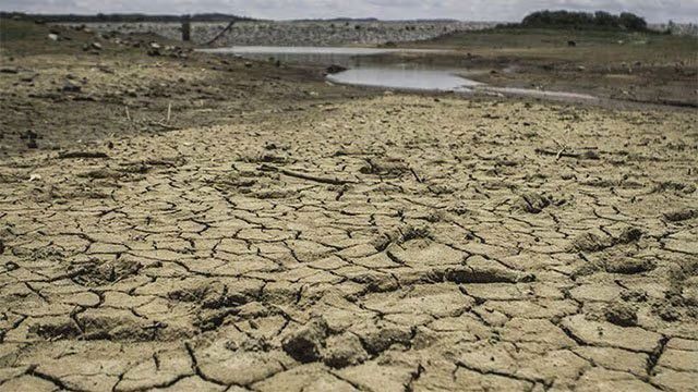 Sri Lanka Holds Meeting to Assess El Niño Impact on Food Security and Prices