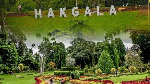Government Unveils Conservation and Tourism Initiative for Hakgala Botanical Garden