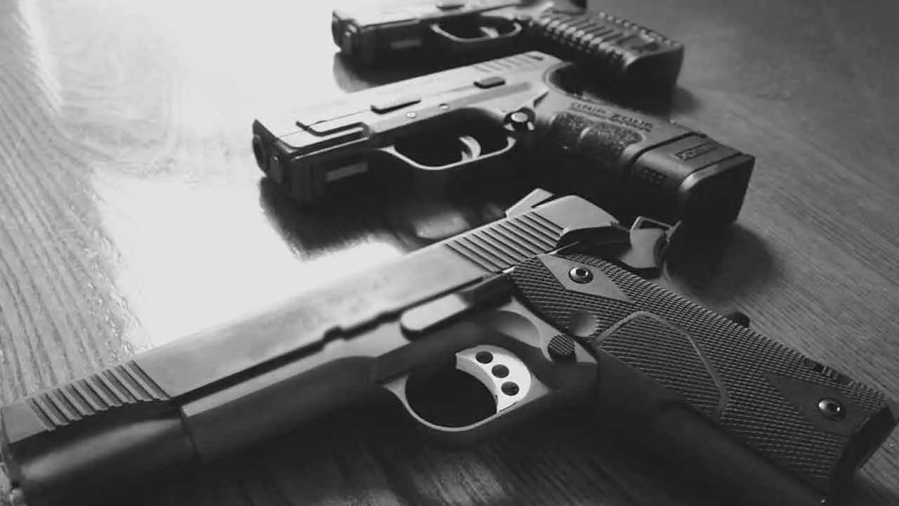Firearm Licence Renewal Period Opens September 1, 2026