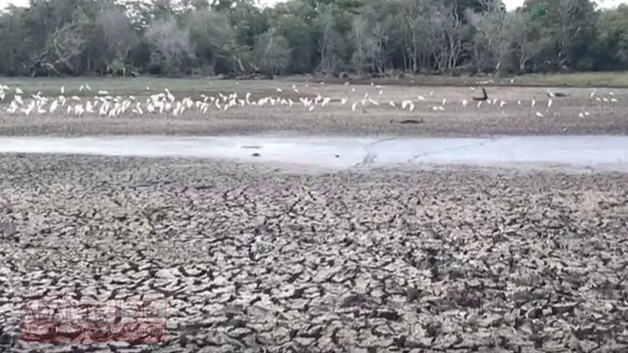 Severe drought depletes water reserves across Anuradhapura district