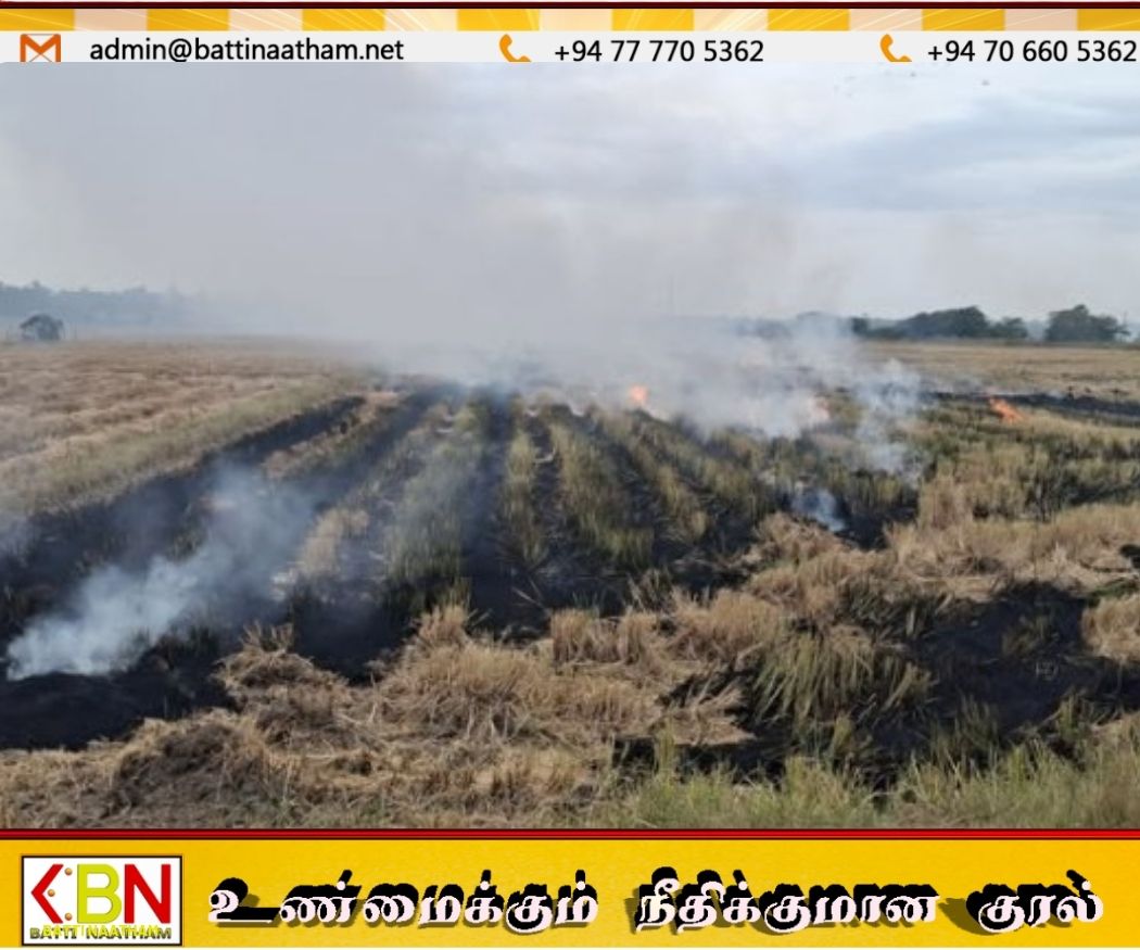 வைக்கோலுக்கு தீ வைப்பது அதிகரிப்பு; சுற்றுச்சூழலுக்கு கடும் அச்சுறுத்தல் என நிபுணர்கள் எச்சரிக்கை!