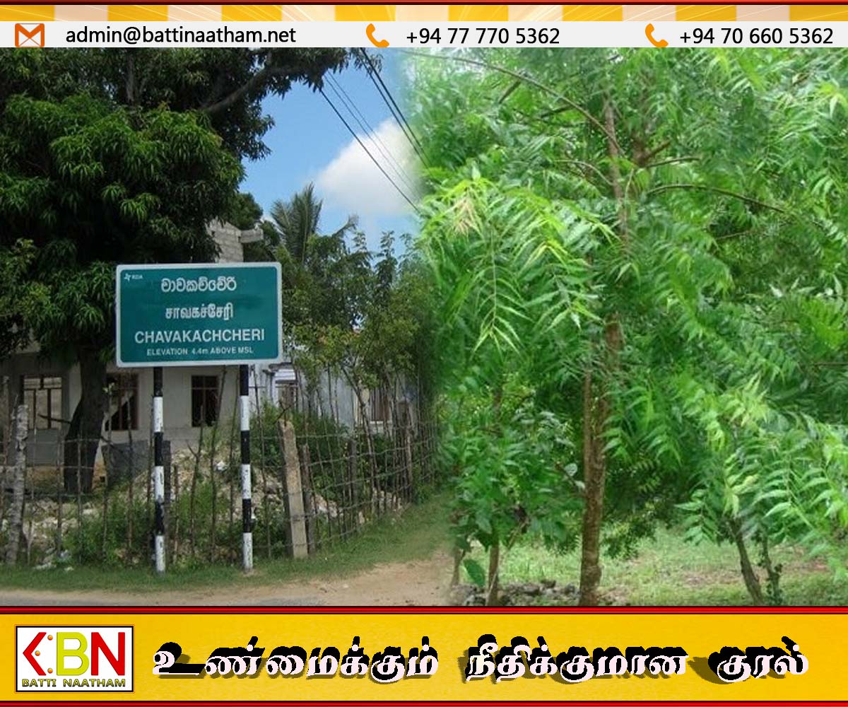 சவகாசேரி பிரதான சாலை மறுகட்டமைப்பு திட்டத்தில் மரங்களை அகற்றக் கோரும் மக்கள்