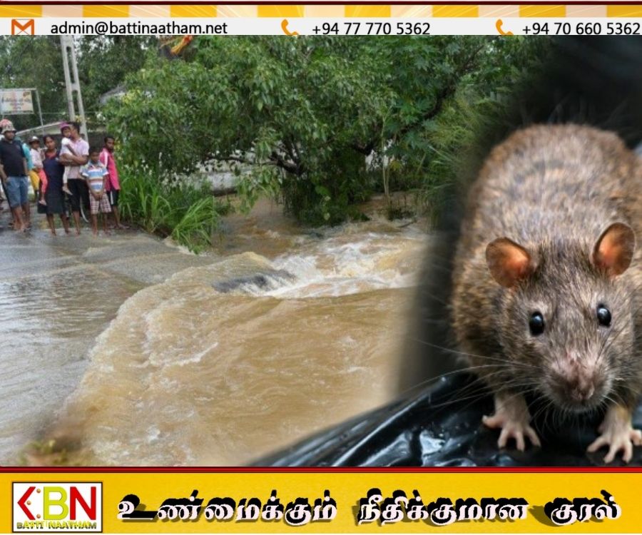 வெள்ளப்பெருக்கைத் தொடர்ந்து தொற்று நோய்கள் பரவும் அபாயம்; பொதுச் சுகாதார பரிசோதகர்கள் எச்சரிக்கை!