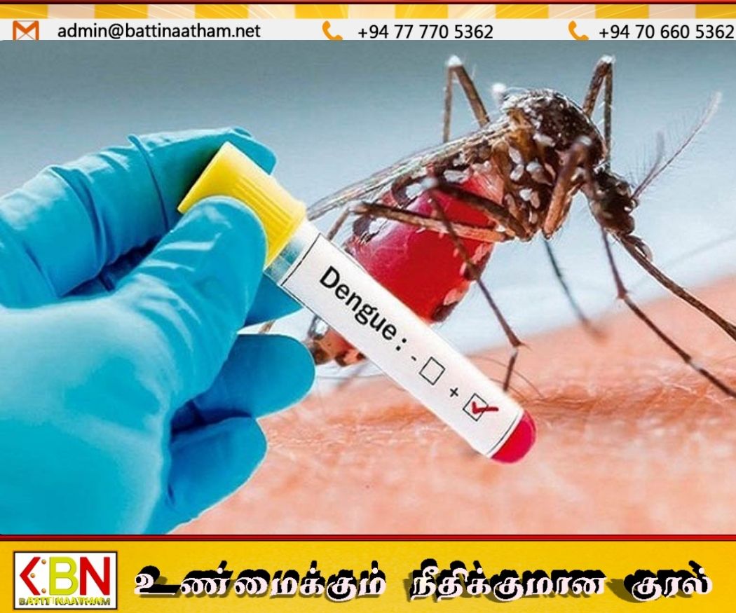 நாட்டில் டெங்கு மரணங்கள் 68 ஆக உயர்வு; 91,059 பேர் பாதிப்பு!
