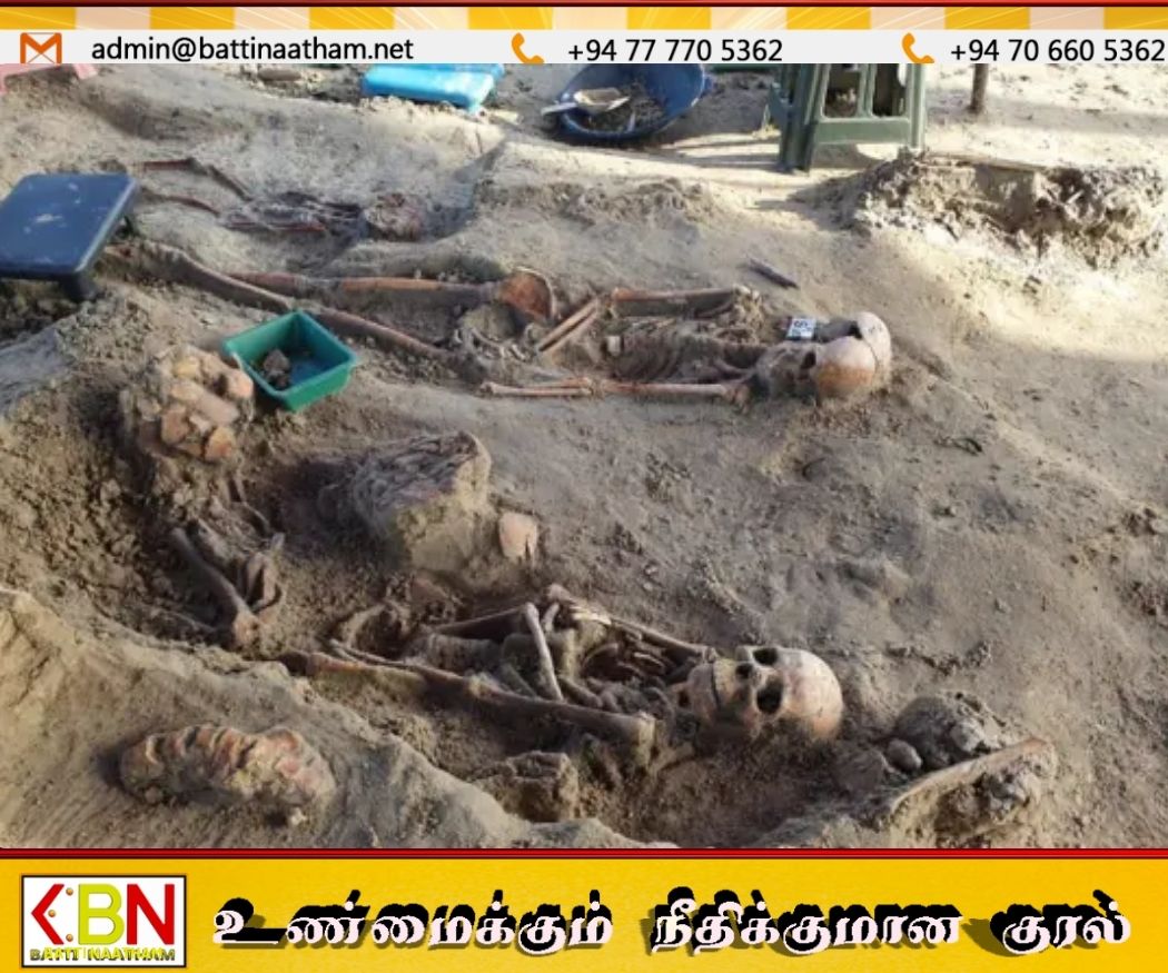 செமணி பொதுமணிக்காட்டிலிருந்து 584 மனித எச்சங்கள் கண்டுபிடிப்பு