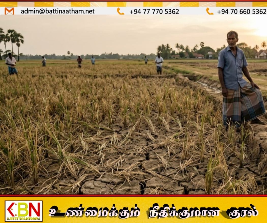 வறட்சியால் சேதமடைந்த நெல் பயிர்களுக்கு ஈவு எதிர்ப்பை விரைந்து வழங்க அரசு முடிவு