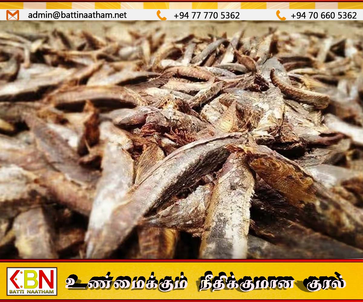 கருவாடு கிலோ விலை 4,000 வரை அதிகரிப்பு