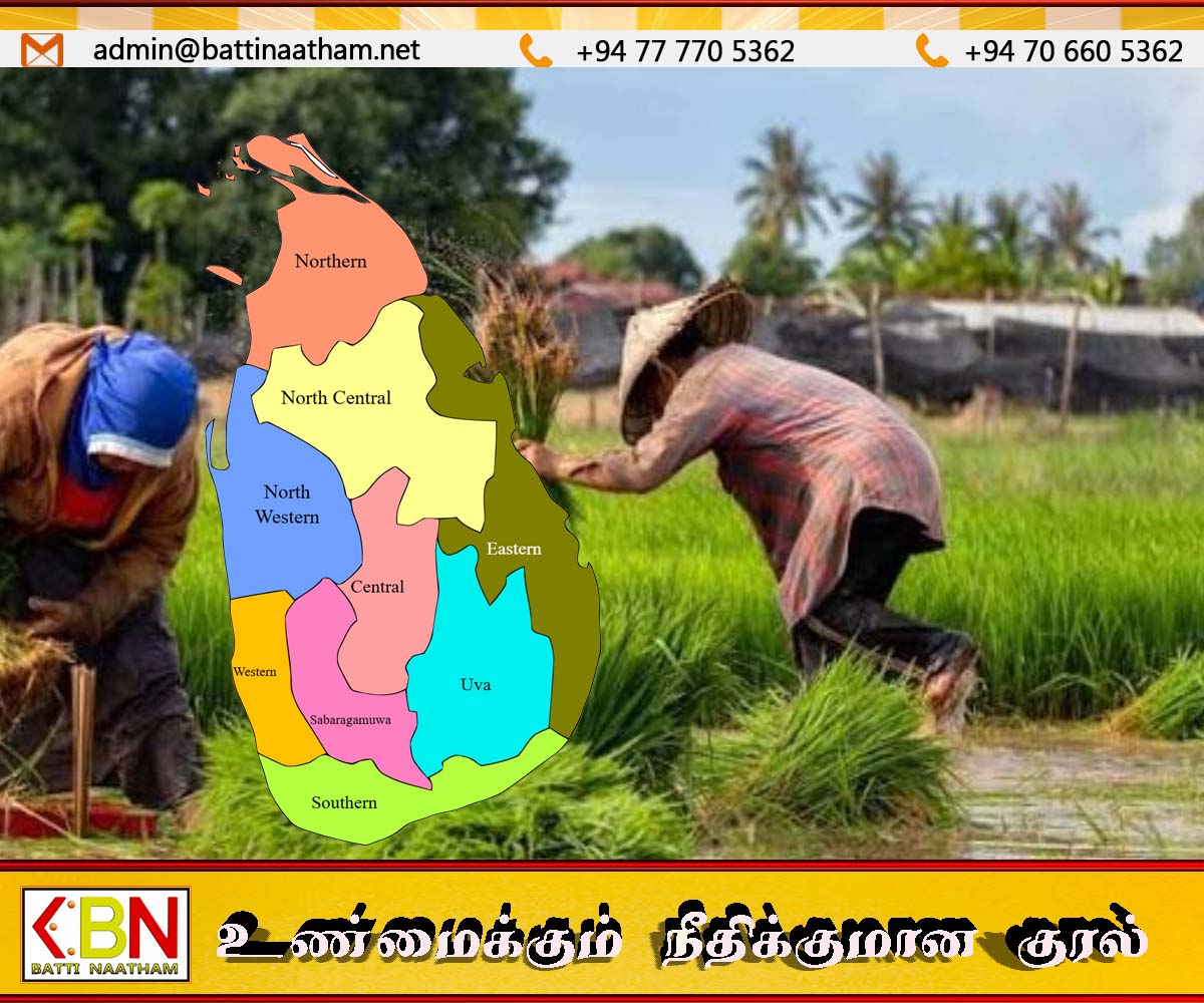இலங்கை உচ்চ விலைக்குப் பதிலாக அரிசி விவசாயிகளின் வருமானத்தை அதிக விளைச்சலின் மூலம் உயர்த்த திட்டமிடுகிறது
