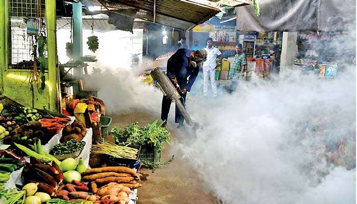 Sri Lanka's Dengue Crisis Exposes Gaps Between Medical Excellence and Prevention Strategy