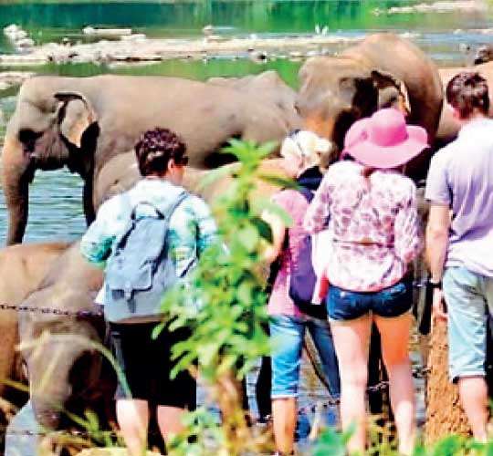 Sri Lanka's Tourism Recovery Falters as Arrivals Fall Short of Year-End Target