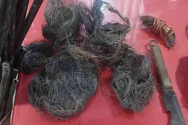 கேபிள்களை வெட்டி செம்பு கம்பிகளை இழுத்த இருவர் கைது