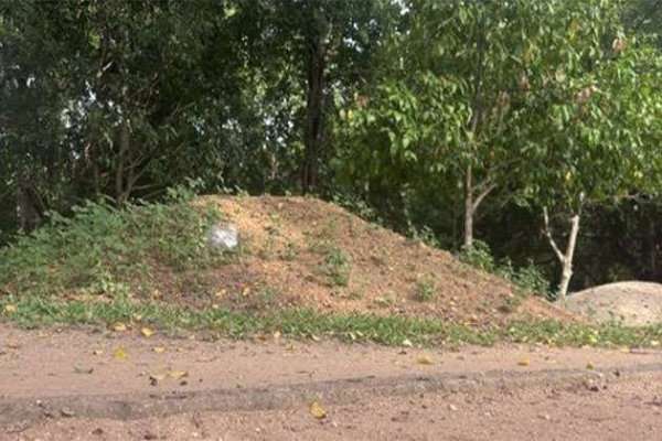 சுதந்திர சதுக்கத்தின் நடைபாதை சிதைவு
