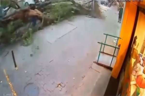 ரியோ டി ஜெனிரோவில் வலுவான காற்றால் விழுந்த மரத்திலிருந்து பாதசாரி அரிதாக தப்பித்தார்
