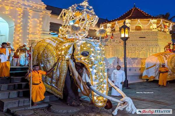 வரலாற்று கண்டி எசாల பெரහேர ஊர்வலம் புனித நreliக்கைக் கொண்டு செல்லும் யானையைக் கண்டது