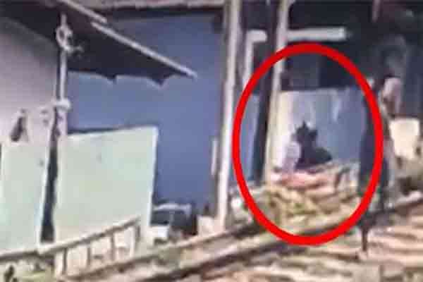 பொரளையில் வீட்டின் மீது கைகுண்டு வீச்சு