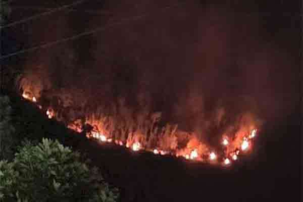 பதுளையில் பற்றி எரியும் வனப்பகுதி ; களஞ்சியசாலையால் அச்சம்