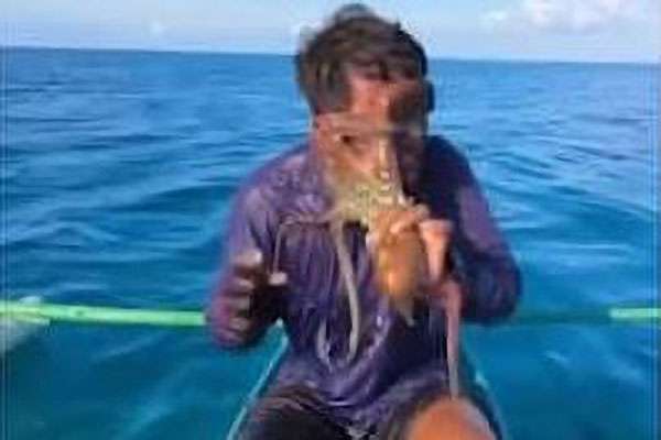 பிலிப்பைன் கடற்கரையில் மீனவனுக்கு ஆக்டோபஸ் தாக்குதல்
