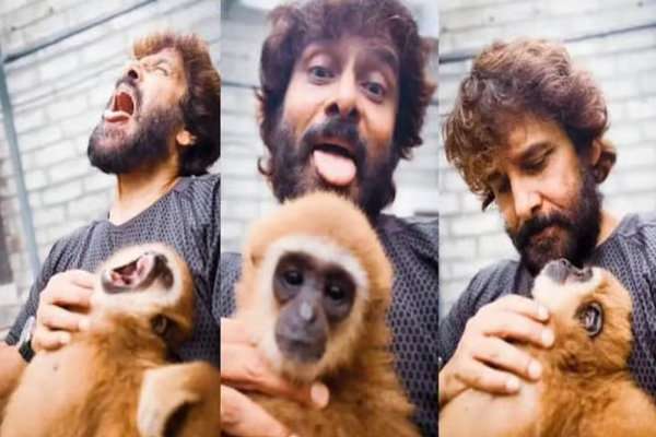 பிற்endangered கிப்போன் வீடியோவுக்காக நடிகர் மீது வனவிभाग விசாரணை