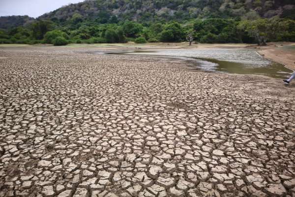 கால்நடை விவசায়ীகள் பொருளாதார চдавალிகளுக்கு மத்தியில் உடனடி உதவிக்கு வேண்டுகோள் விடுத்துள்ளனர்