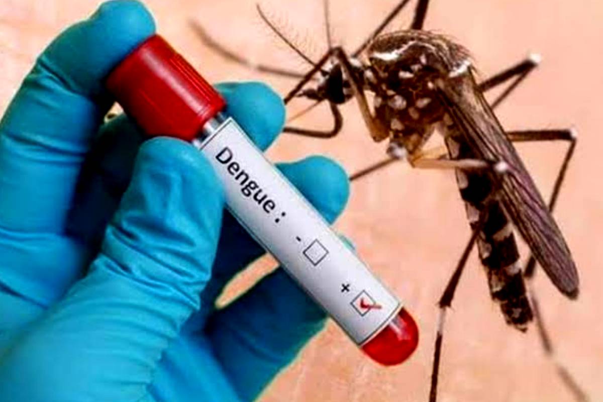 இலங்கையில் டெங்கு வழக்குகள் அதிகரிப்பு, இறப்பு எண்ணிக்கை 71 ஆக உயர்ந்துள்ளது