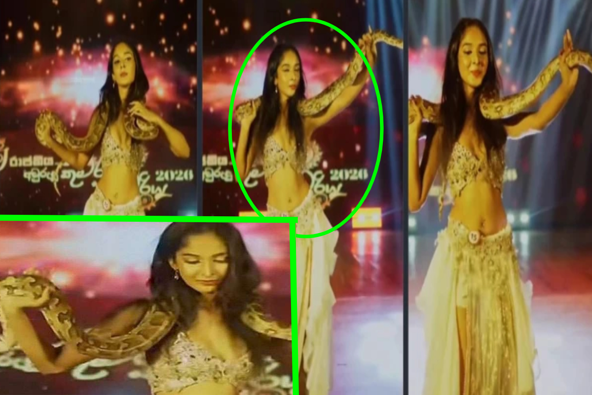 பாதுகாக்கப்பட்ட பாம்பின் சாথ ஆடிய பெண்ணுக்கு பொதுவருடாண்டு போட்டியில் அபராதம்