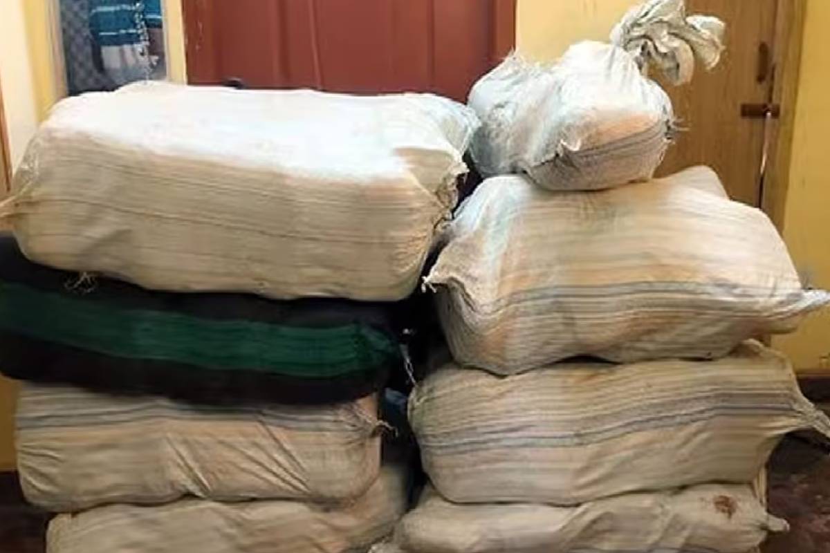 தமிழ்நாடு கடற்கரையில் இலங்காவிற்கு செல்ல இருந்த கஞ்சா பறிமுதல்