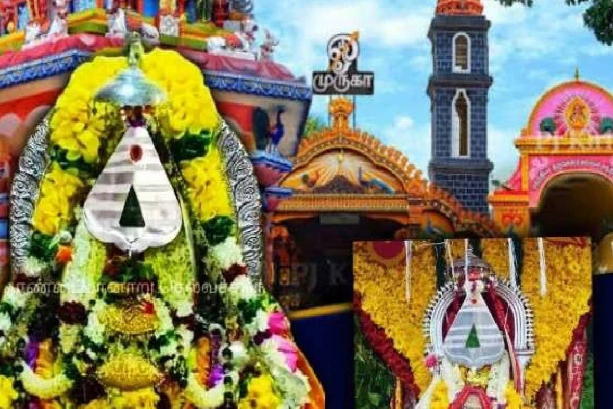 செல்வச் சந்நிதியான் சப்பறத்திருவிழா ஆரம்பம் - அருளைப் பெற குவியும் பக்தர்கள்