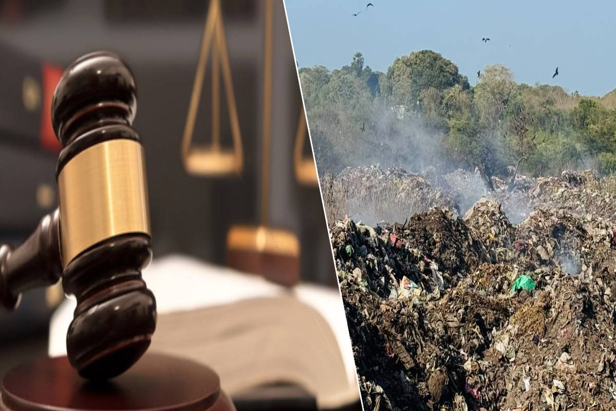 வடக்கு சபை கிரிமலையில் சட்டவிரோத கழிவு அகற்றுவதற்கான காலவரம்பு வழங்குகிறது