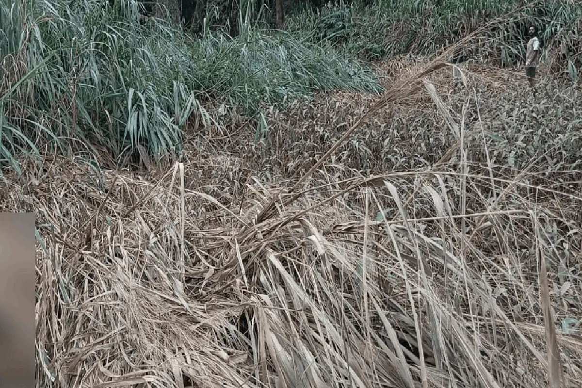கம்பலை பாலத்திலிருந்து விழுந்த பெண்ணின் உடல் மீட்கப்பட்டது