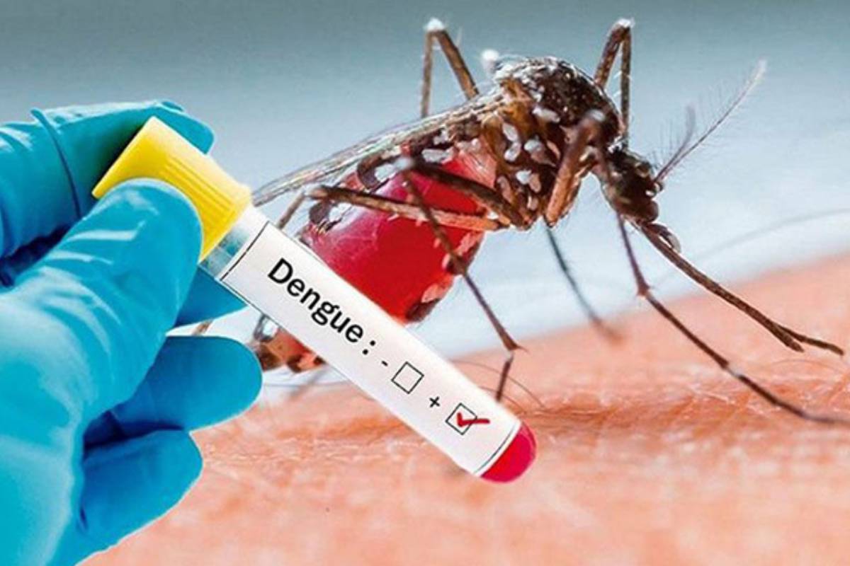 இலங்கையில் டெங்கு நோய் cases 89,000 ஐ தாண்டி, ஜூலை மாதம் மிக உচ்சமான மாதாந்திர count ஐ பதிவு செய்துள்ளது